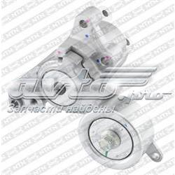 Compre APV3012 Dayco Reguladora de tensão da correia de transmissão