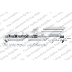 65471VC025 Nissan/Infiniti Amortecedor da capota