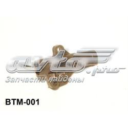 Compre BTM001 Aisin 