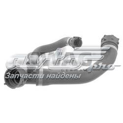 Mangueira (cano derivado) do radiador de esfriamento superior 11531711321 BMW
