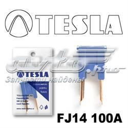 FJ14100A Tesla