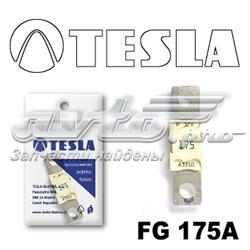 FG175A Tesla