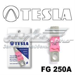 FG250A Tesla