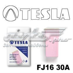 FJ1630A Tesla
