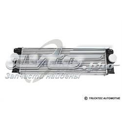 Radiador de intercooler VAG A9065010201