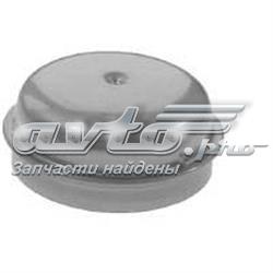 Compre A2013340125 Mercedes Tampão de cubo