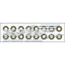 Vedação de válvula (coletor de óleo), admissão/escape, kit para um motor 11349063193 BMW