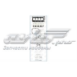 Kit de vedantes de motor completo 50289600 Ajusa