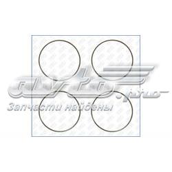 60005100 Ajusa Vedante anular para a camisa de motor
