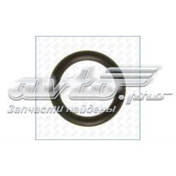 Vedante de tubo coletor de admissão Peugeot/Citroen 00000348R4
