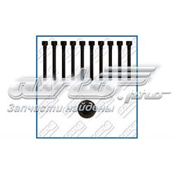 Parafuso de cabeça de motor (CBC) 145505801 Victor Reinz