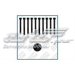 Parafuso de cabeça de motor (CBC) NPS M128A16
