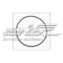 Vedante de tubo coletor de admissão 147229153R Renault (RVI)