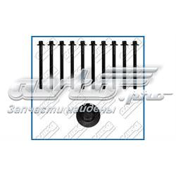 Parafuso de cabeça de motor (CBC) Renault Kangoo 2 FW0