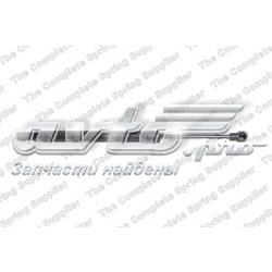 Amortecedor de tampa de porta-malas (de 3ª/5ª porta traseira) General Motors 96474968 preço, a partir de 21,17 USD