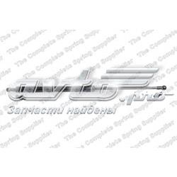 Amortecedor da capota direito 5345069055 Toyota