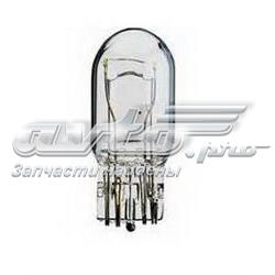 202303 SCT