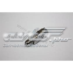 09128603 General Motors Compensador hidrâulico (empurrador hidrâulico), empurrador de válvulas