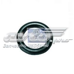 Compre A5419970645 Mercedes Anel de compressão do gargalho de enchimento de óleo