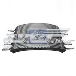 271105 Diesel Technic Pára-lama traseiro (TRUCK)