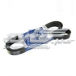 Correia dos conjuntos de transmissão Hyundai/Kia 2521084460