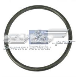 Vedante de termostato A0249972848 Mercedes