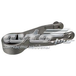 TEM057 Delphi Coxim (suporte) traseiro de motor