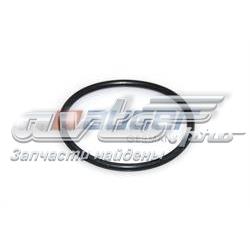 Compre A0249972848 Mercedes Vedante de termostato