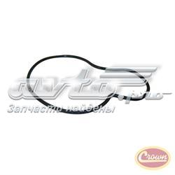 4621564 Chrysler Vedante de bomba de água