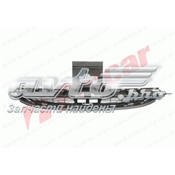 Grelha do radiador para Peugeot 607  9D, 9U