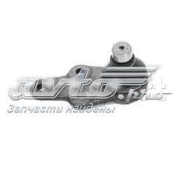Suporte de esfera inferior para Jaguar X-type  CF1