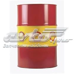 550027804 Shell