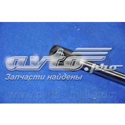 Amortecedor de tampa de porta-malas (de 3ª/5ª porta traseira) PQA219 Parts-Mall