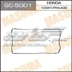 GC5001 Masuma