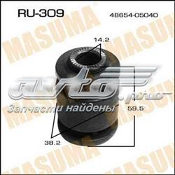 RU309 Masuma