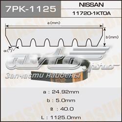 Correia dos conjuntos de transmissão Mitsuboshi 7PK1125 preço, a partir de 10,85 USD