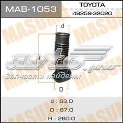 MAB1053 Masuma