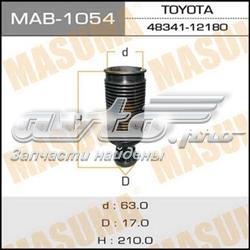 MAB1054 Masuma
