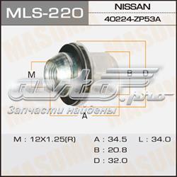  Nissan Altima  (2001-2006)