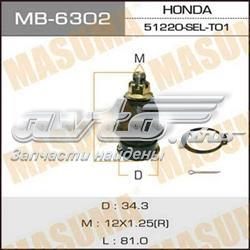 MB6302 Masuma