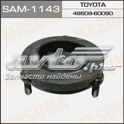 SAM1143 Masuma