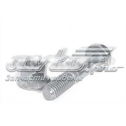 SS6848 DP Group