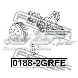 Compre 01882GRFE Febest Rolo parasita da correia de transmissão