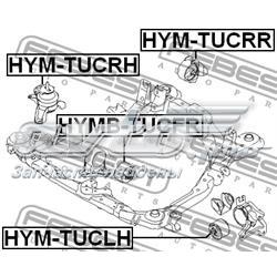 Compre HYMBTUCFR Febest Coxim (suporte) dianteiro de motor (bloco silencioso)