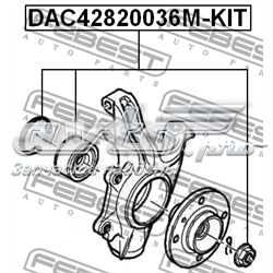Rolamento de cubo dianteiro DAC42820036MKIT Febest