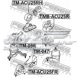 Coxim (suporte) dianteiro de motor TMACU25FR Febest
