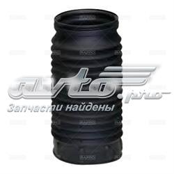 52256 Rapro