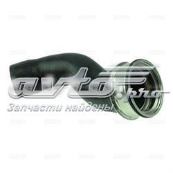 28208 Rapro