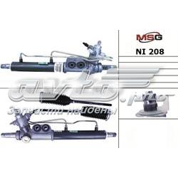 NI208 MSG