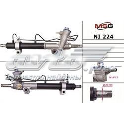 NI224 MSG